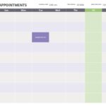 appointment schedule excel sheet